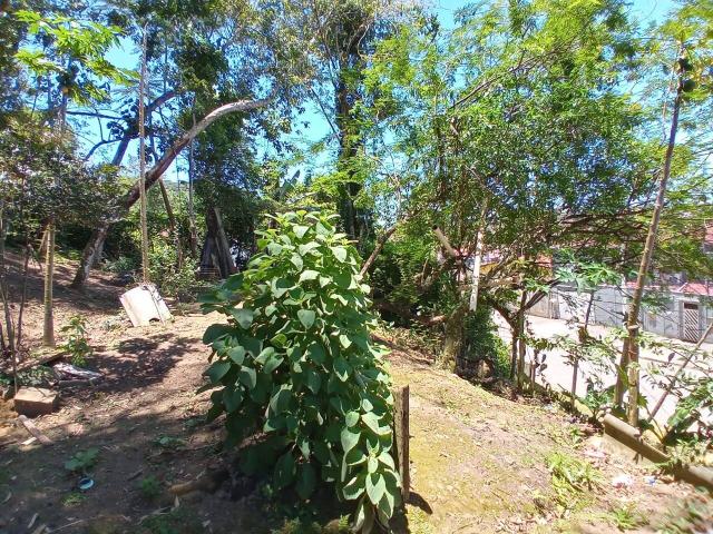 #8001 - Chácara para Venda em Caraguatatuba - SP - 3