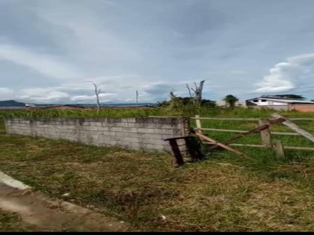 #8019 - Área para Venda em Caraguatatuba - SP - 2