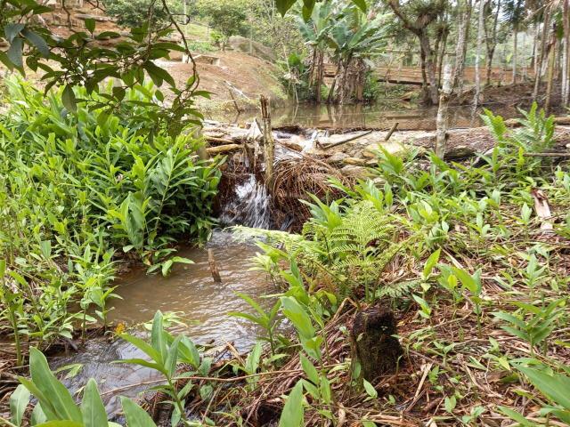 #8041 - Chácara para Venda em Natividade da Serra - SP - 2