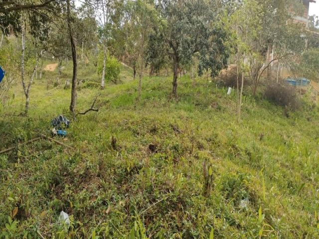 #8041 - Chácara para Venda em Natividade da Serra - SP - 1