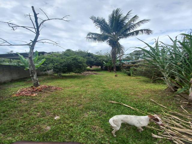 #6013 - Casa para Venda em Caraguatatuba - SP - 2